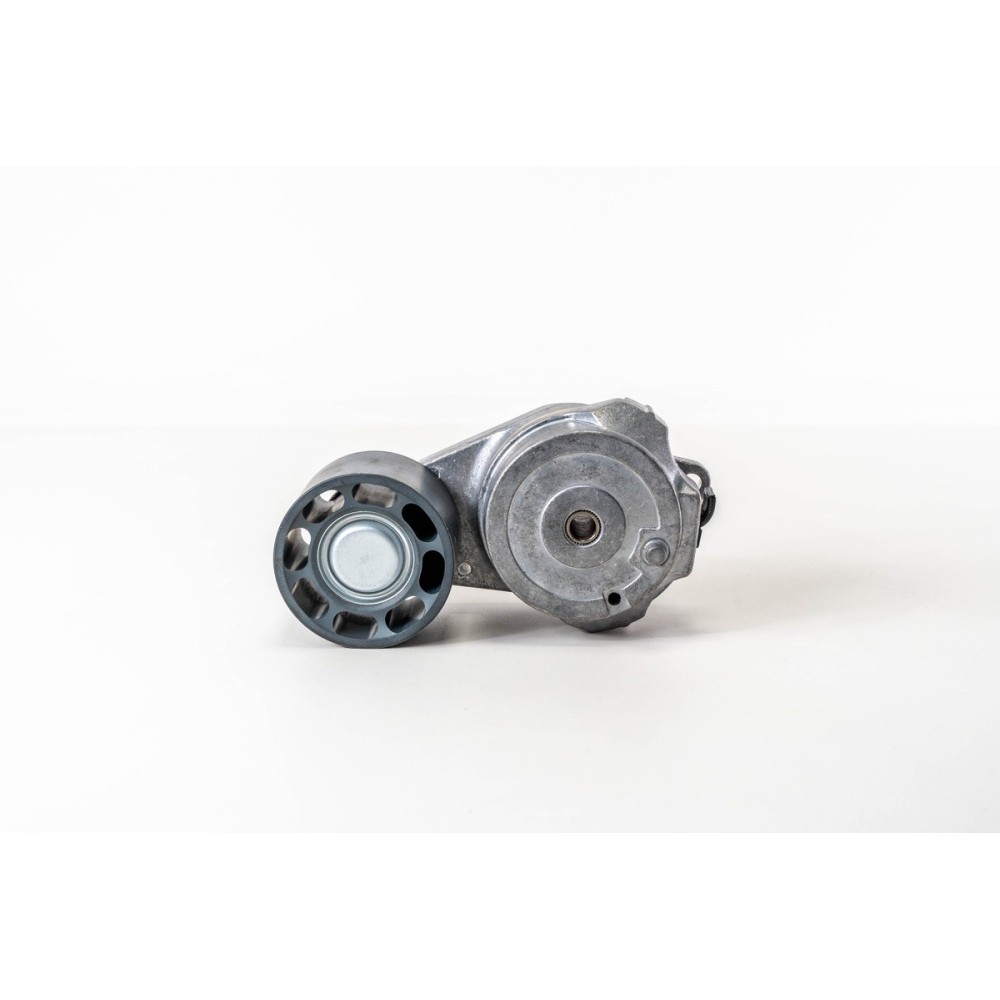 F3GFL611 - STRALIS AD/AS/AT M.Y. - Tensor Correa