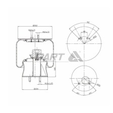 MOLLA D286 COMPLETA BUS 491 SX