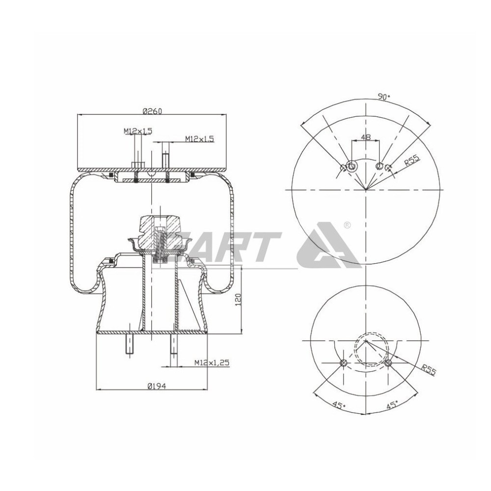 MOLLA D286 COMPLETA BUS 491 SX
