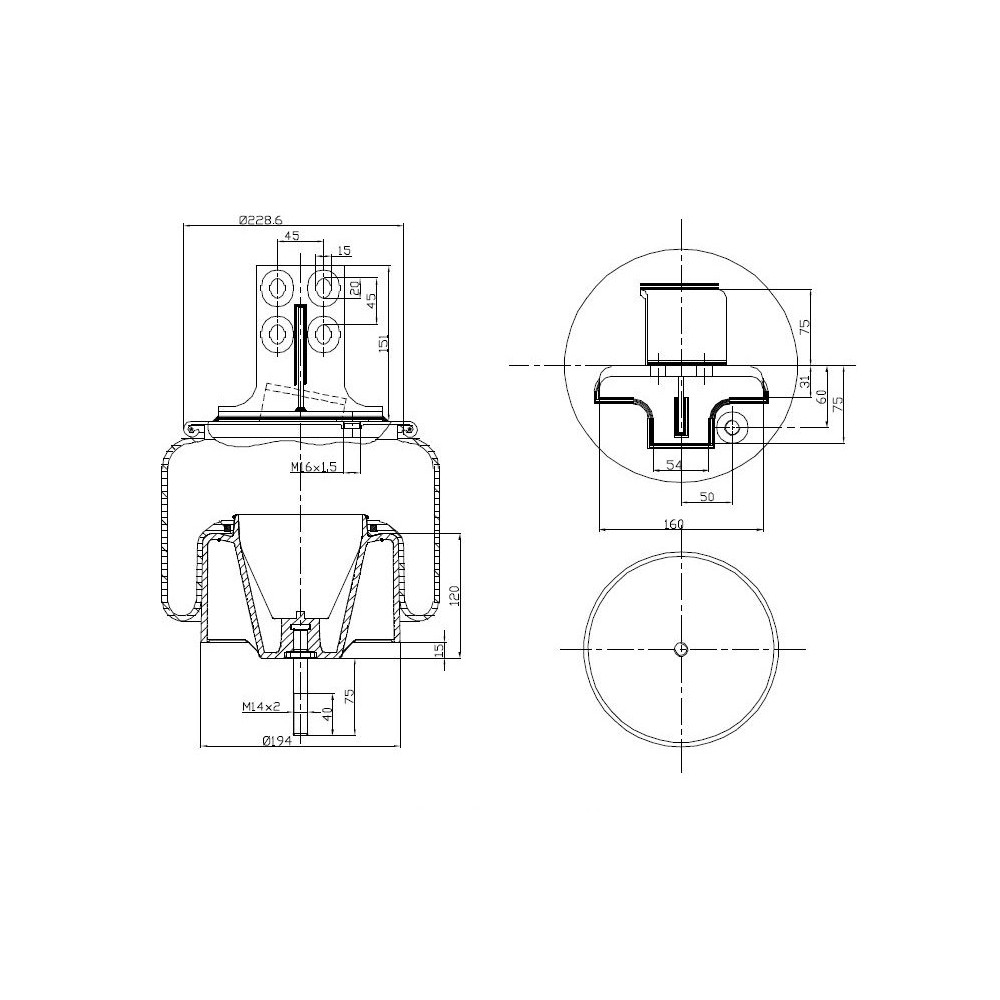 MOLLA PN. D290/BR STRALIS COMP