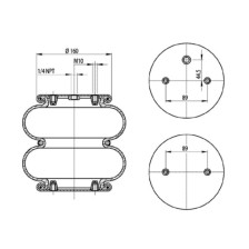 MOLLA PN. T291/2 TORPRESS MERI