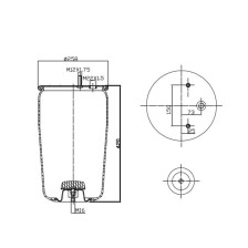 MEMBRANA C293/A+PIATTO BPW 30K