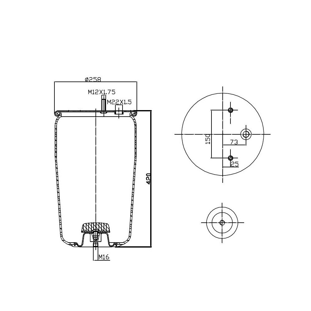 MEMBRANA C293/A+PIATTO BPW 30K