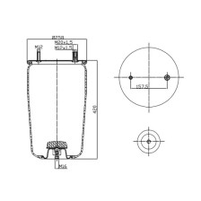 MEMBRANA C293/A+PIATTO BPW 30K