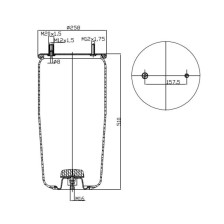 MEMBRANA C293+PIATTO BPW 30 SEMICOM