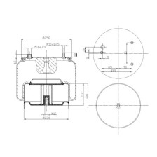 MOLLA C302 DAF POSTERIORE