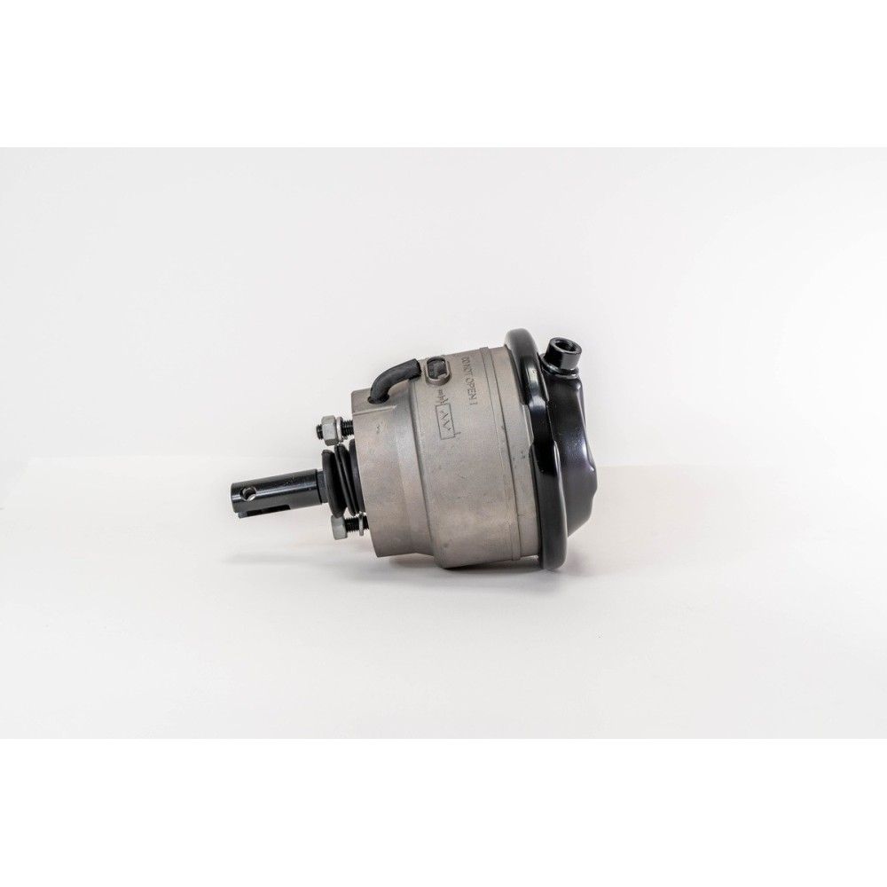 CILINDRO DI STAZIONAMENTO T61 - AIR BRAKE SYSTEM