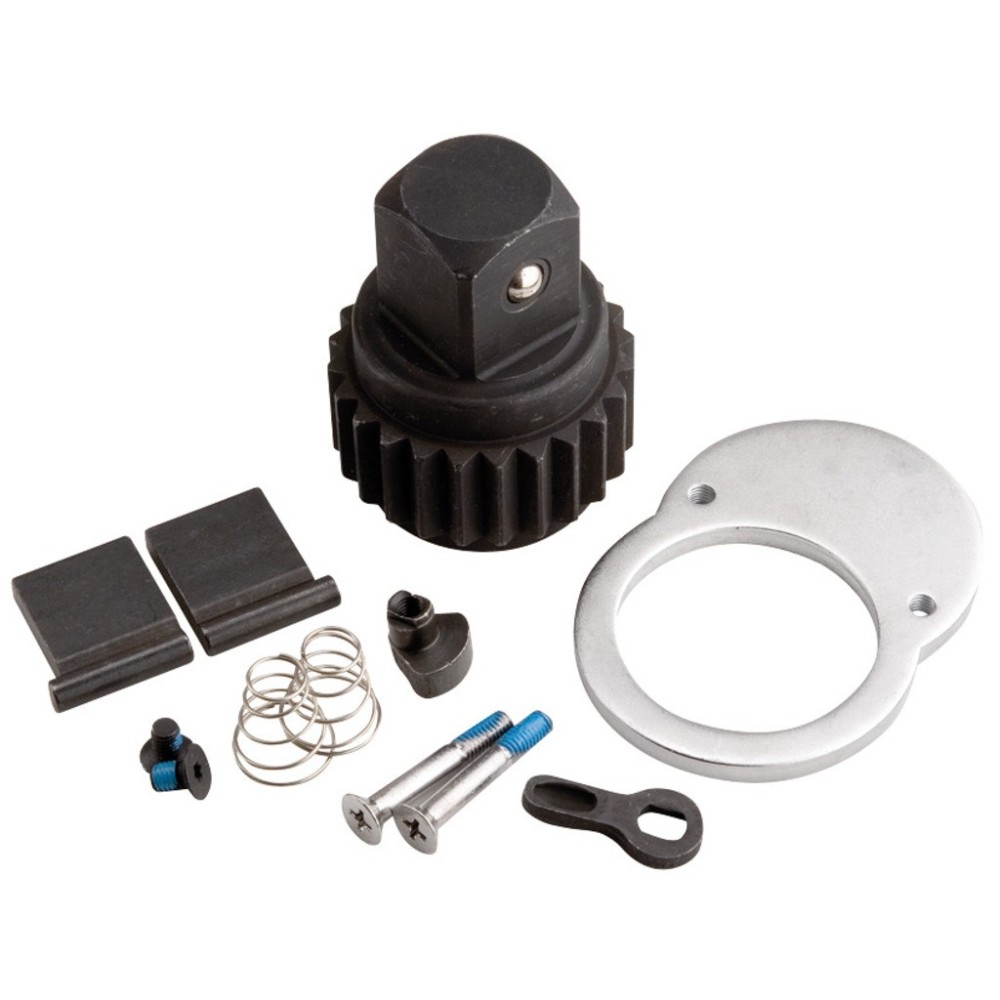 199.11 Juego de repuestos para ratchet 199.1/1 11