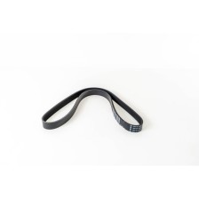 F1AE3481D - DUCATO - Correa OE