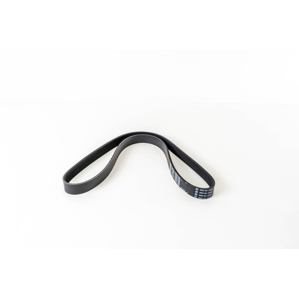 F1AE3481D - DUCATO - Correa OE