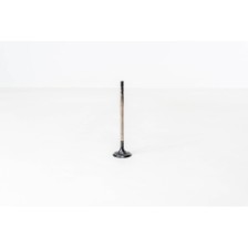 INLET VALVE (2) VAG (CNG) - Valvula MEC