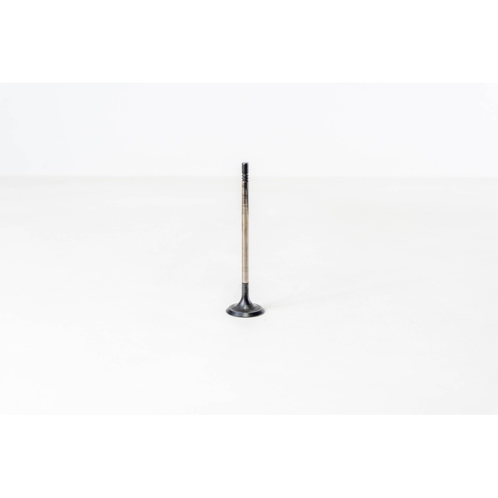 INLET VALVE (2) VAG (CNG) - Valvula MEC