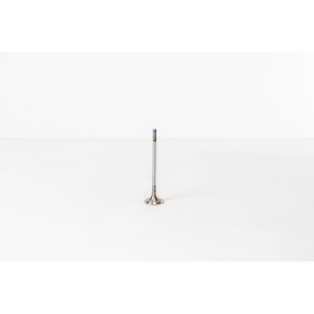 N47 D16 A - 1 (F20)/COUNTRYMAN - Valvula MEC