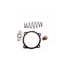 STRALIS - CURSOR 10/13 F3AE/F3 - TERMOSTATO