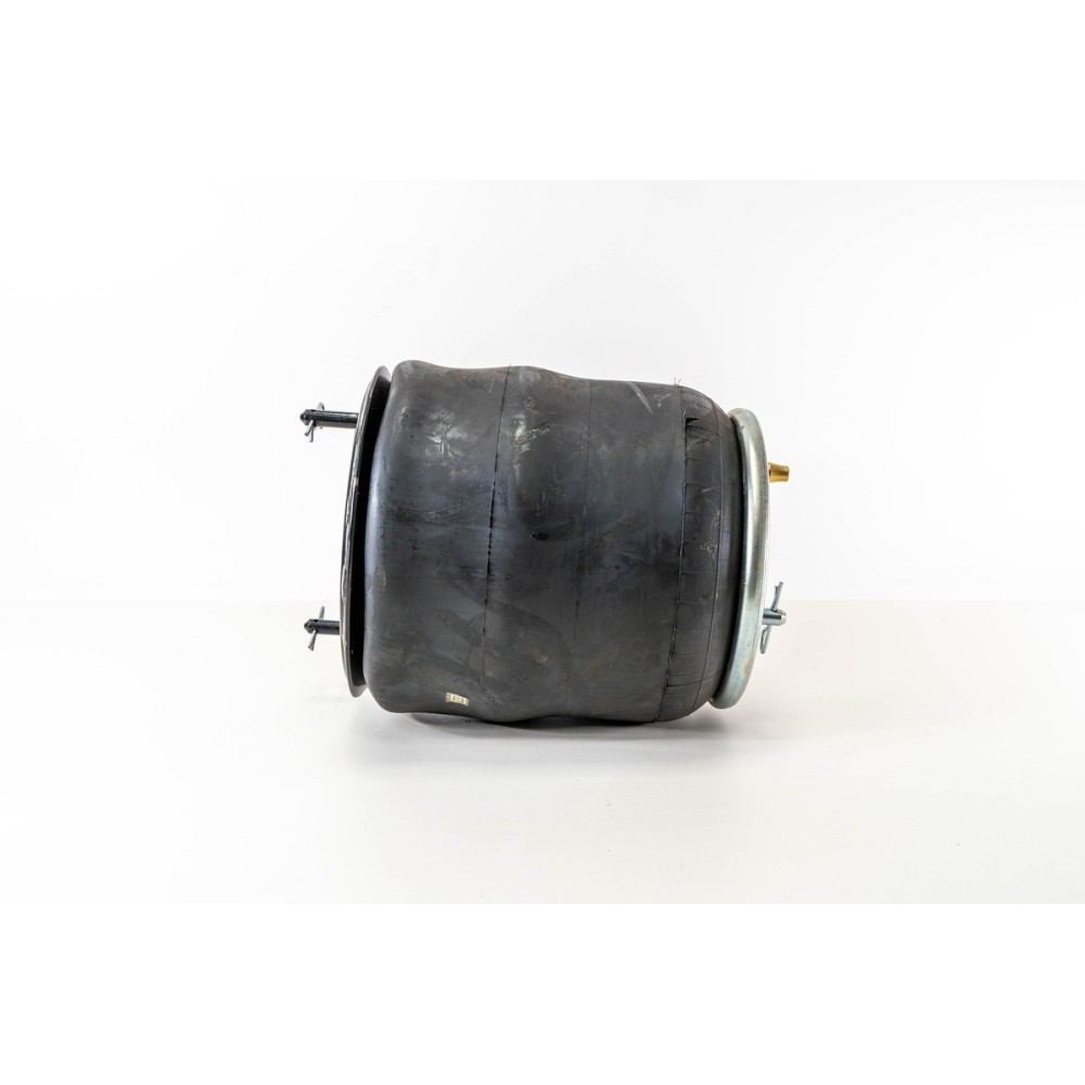 SCANIA - SUSPENSIÓN