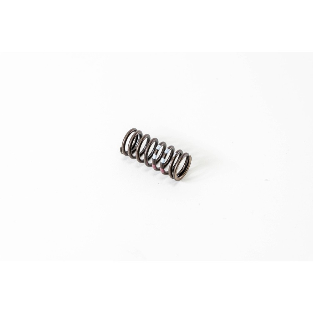 OM 651.901/911/921/930/940/950 - Muelle Valvula