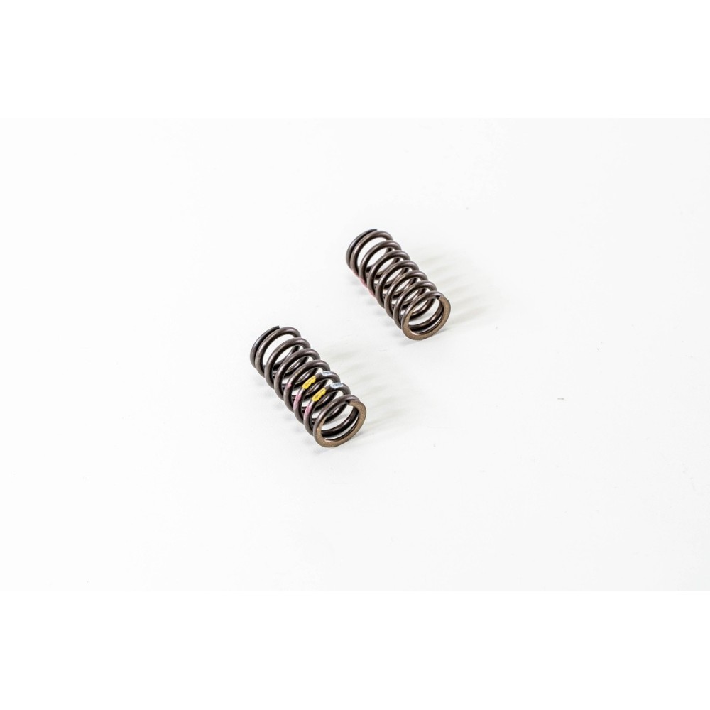 OM 651.901/911/921/930/940/950 - Muelle Valvula