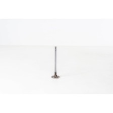 YMF6/YMR6 - TRANSIT 2.0 PANTHER - Valvula MEC