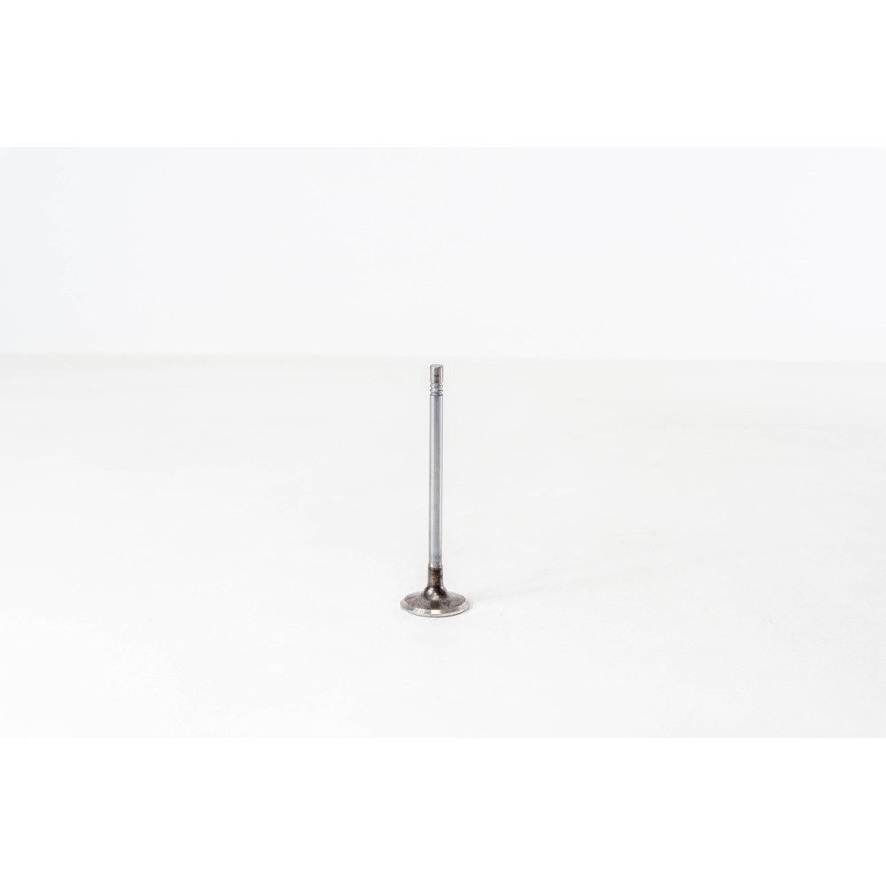 YMF6/YMR6 - TRANSIT 2.0 PANTHER - Valvula MEC