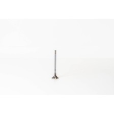 YMF6/YMR6 - TRANSIT 2.0 PANTHER - Valvula MEC