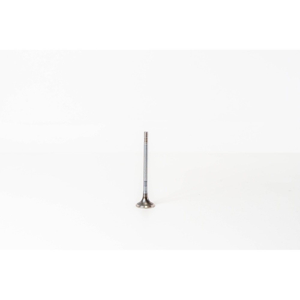 YMF6/YMR6 - TRANSIT 2.0 PANTHER - Valvula MEC