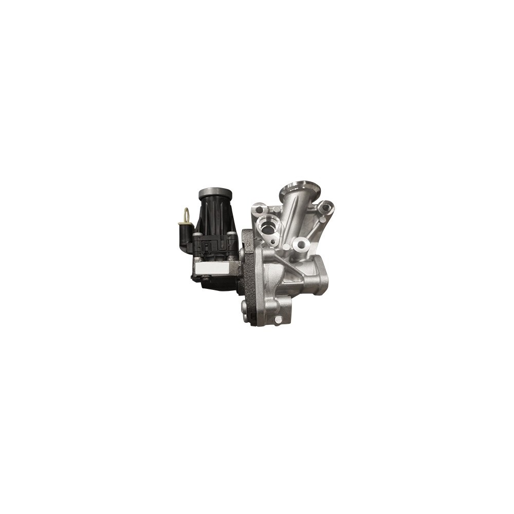 EGR NON RETURN VALVE   F5BFL413A / - EGR