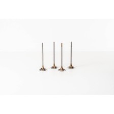 2.0 TDI CXEB/FA/HA MULTIVAN - Valvula MEC