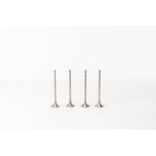 2.0 TDI CXEB/FA/HA MULTIVAN - Valvula MEC