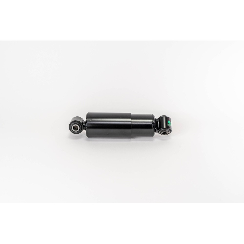 ASSALE/ AXEL - SHOCK ABSORBERS