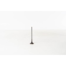 2,0/2,2 DIESEL - DUCATO/500X/GIULIA - Valvula MEC