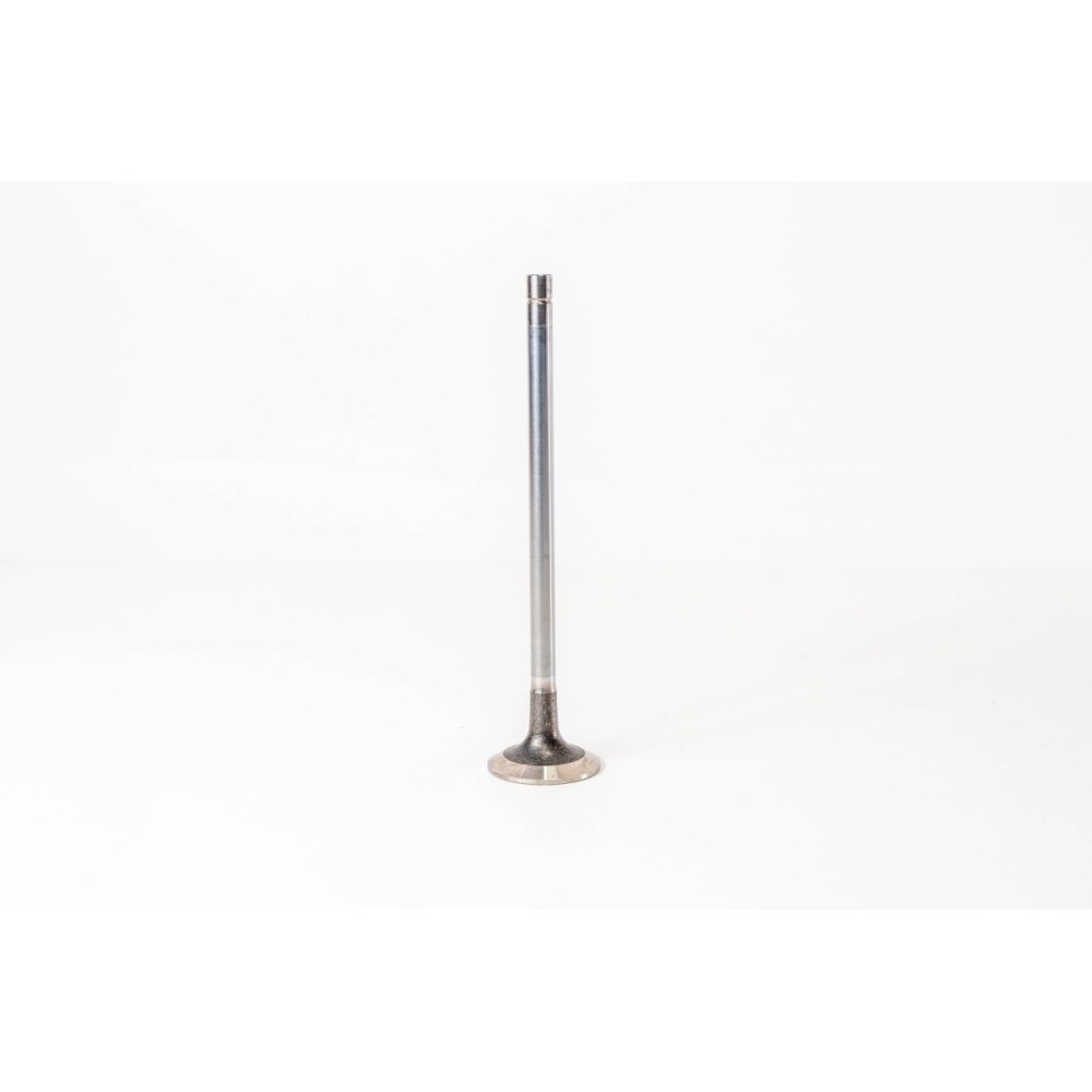 CURSOR 13 EURO 6 - Valvula OE