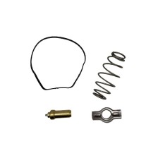 STRALIS - F3BE/F3HF EURO 6 - TERMOSTATO