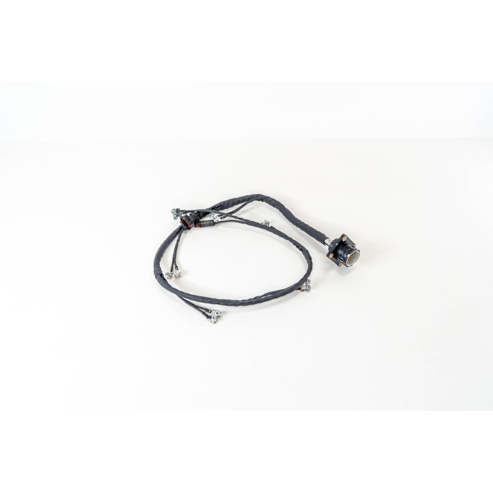 CABLAGGIO INIETTORI CURSOR 10 E6 - Eléctricidad