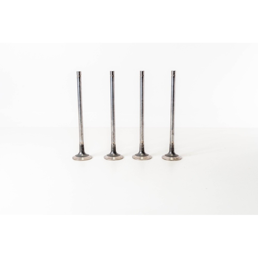 CURSOR 13 EURO 6 - Valvula MEC