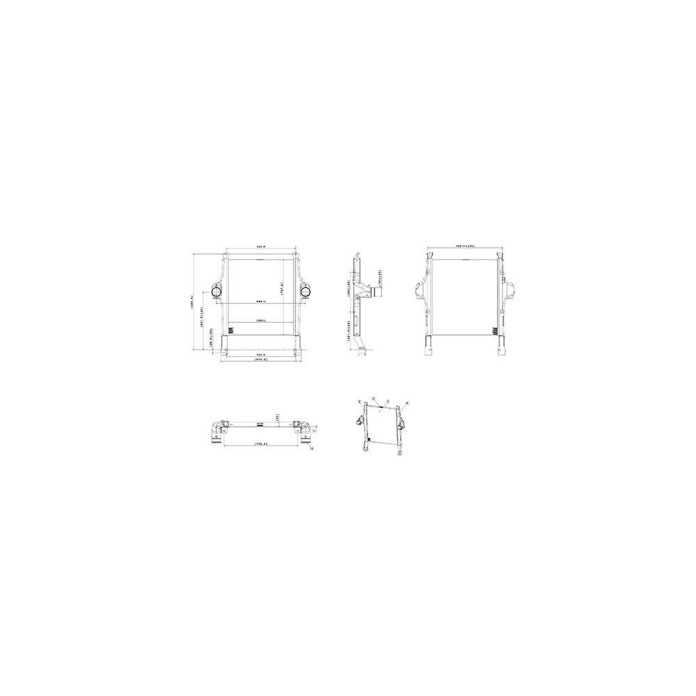 STRALIS - Intercambiador de calor/Radiator