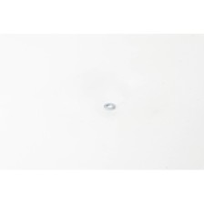 ROSETTA PIANA - Miscellaneous