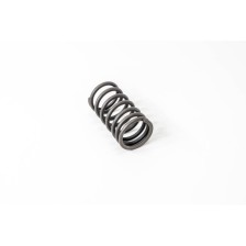 MOLLA VALVOLA EST.697/N-619/N1 - Muelle Valvula