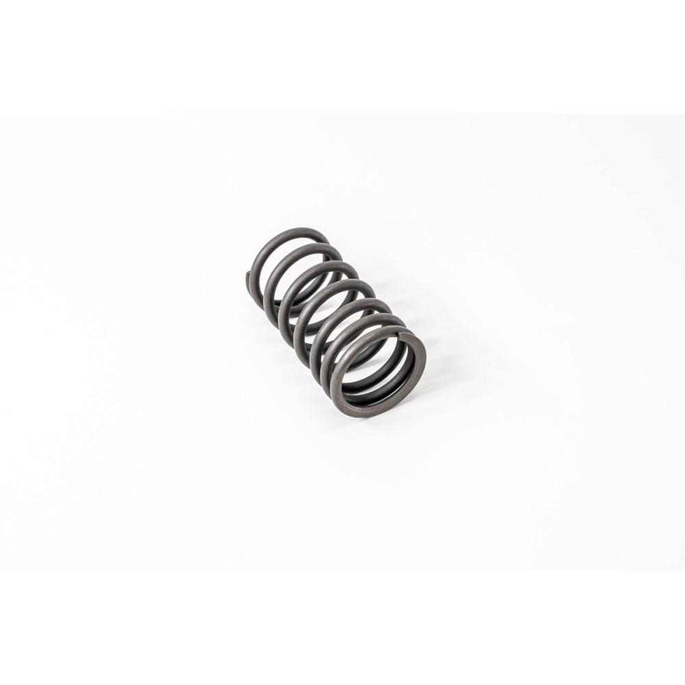 MOLLA VALVOLA EST.697/N-619/N1 - Muelle Valvula