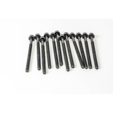 SERIE VITI TESTATA - Tornillos de culata