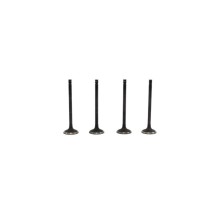 RAV4/AVENSIS/COROLLA 2.2 16V D-4D - Valvula MEC