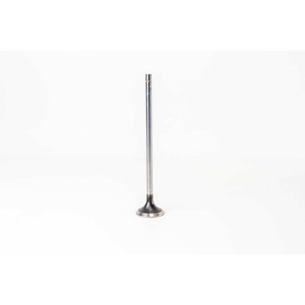 CURSOR 10 - F3AE0681 - 440E39 - Valvula OE