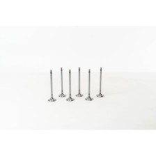 2.0 DIESEL 204DTD/DTA - EVOQUE - Valvula MEC