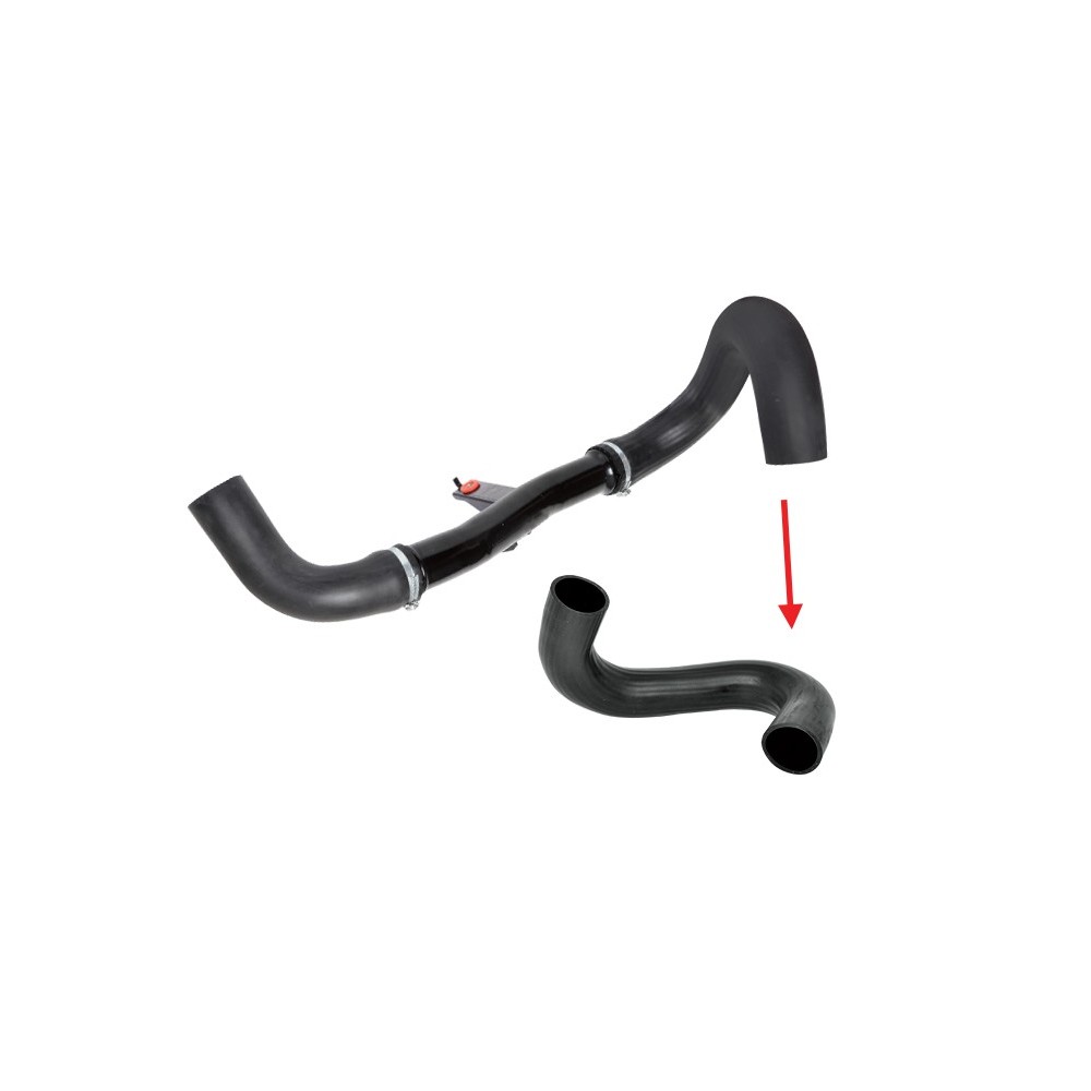 MAN. TURBO (NO TUBO METALLO) DUCATO - HOSE