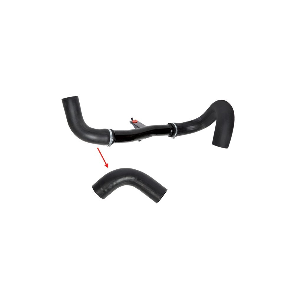 MAN.TURBO DUCATO (PZ PICCOLO) - HOSE