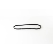 F1AE0481 - DAILY 35C10/S10 - Correa OE