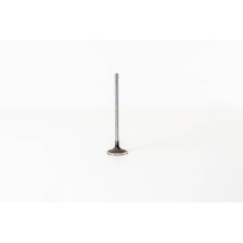 F1CGL411C - DAILY 3.0 E6 BI-TURBO - Valvula OE