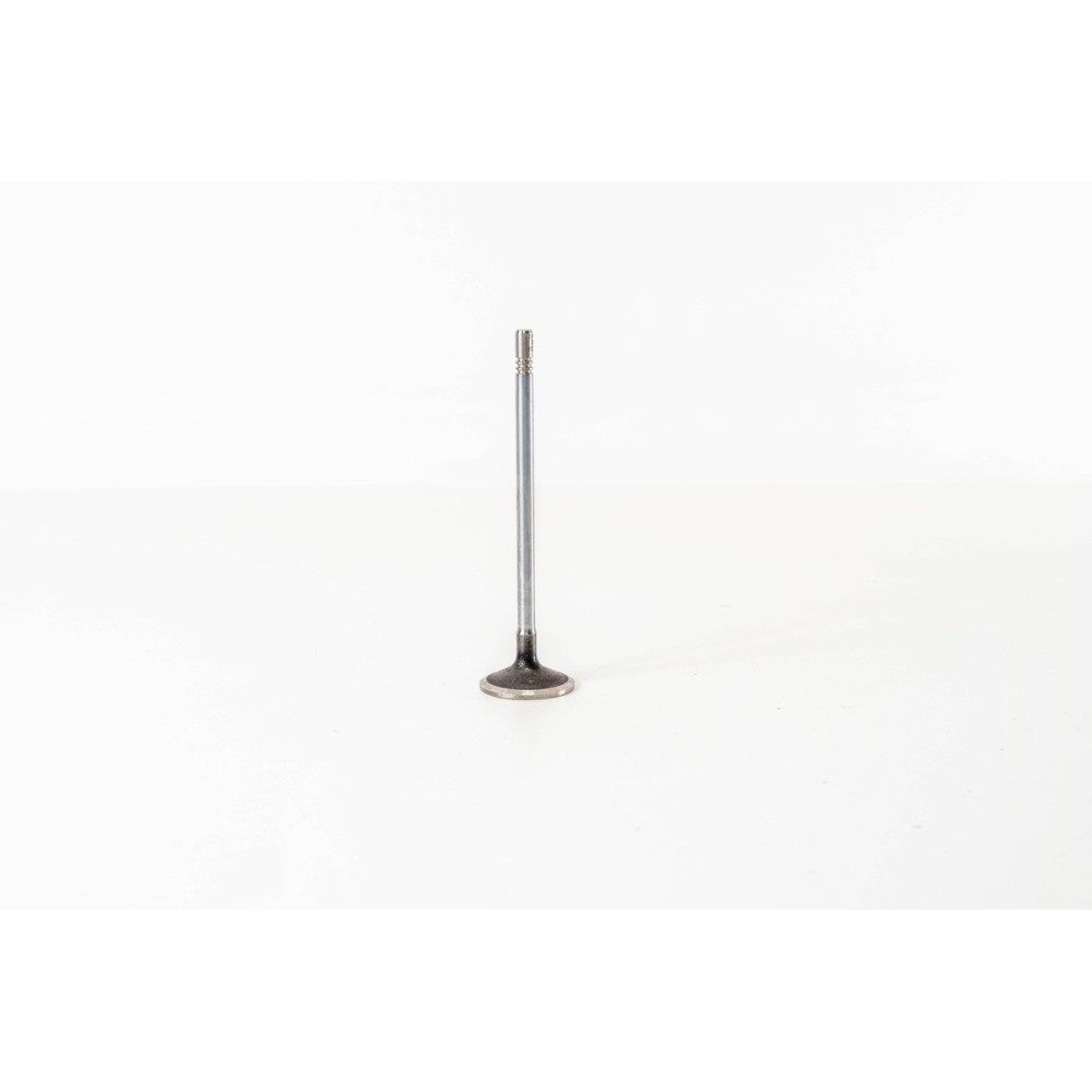 F1CGL411C - DAILY 3.0 E6 BI-TURBO - Valvula OE