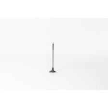 F1CGL411C - DAILY 3.0 E6 BI-TURBO - Valvula OE