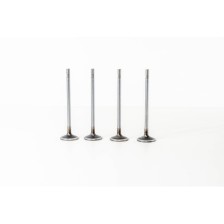 F1CGL411C - DAILY 3.0 E6 BI-TURBO - Valvula MEC