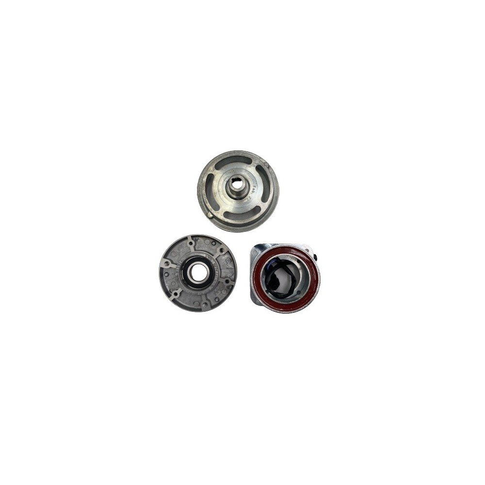 PULEGGIA ELETTROMAGNETICA NEW DAILY - Enfriamiento